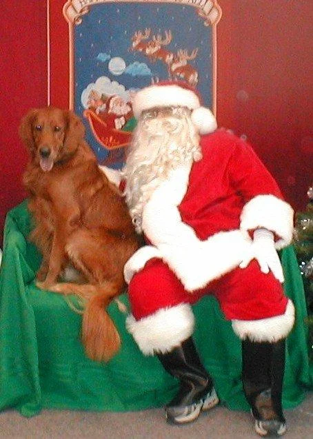 In memory of Milo