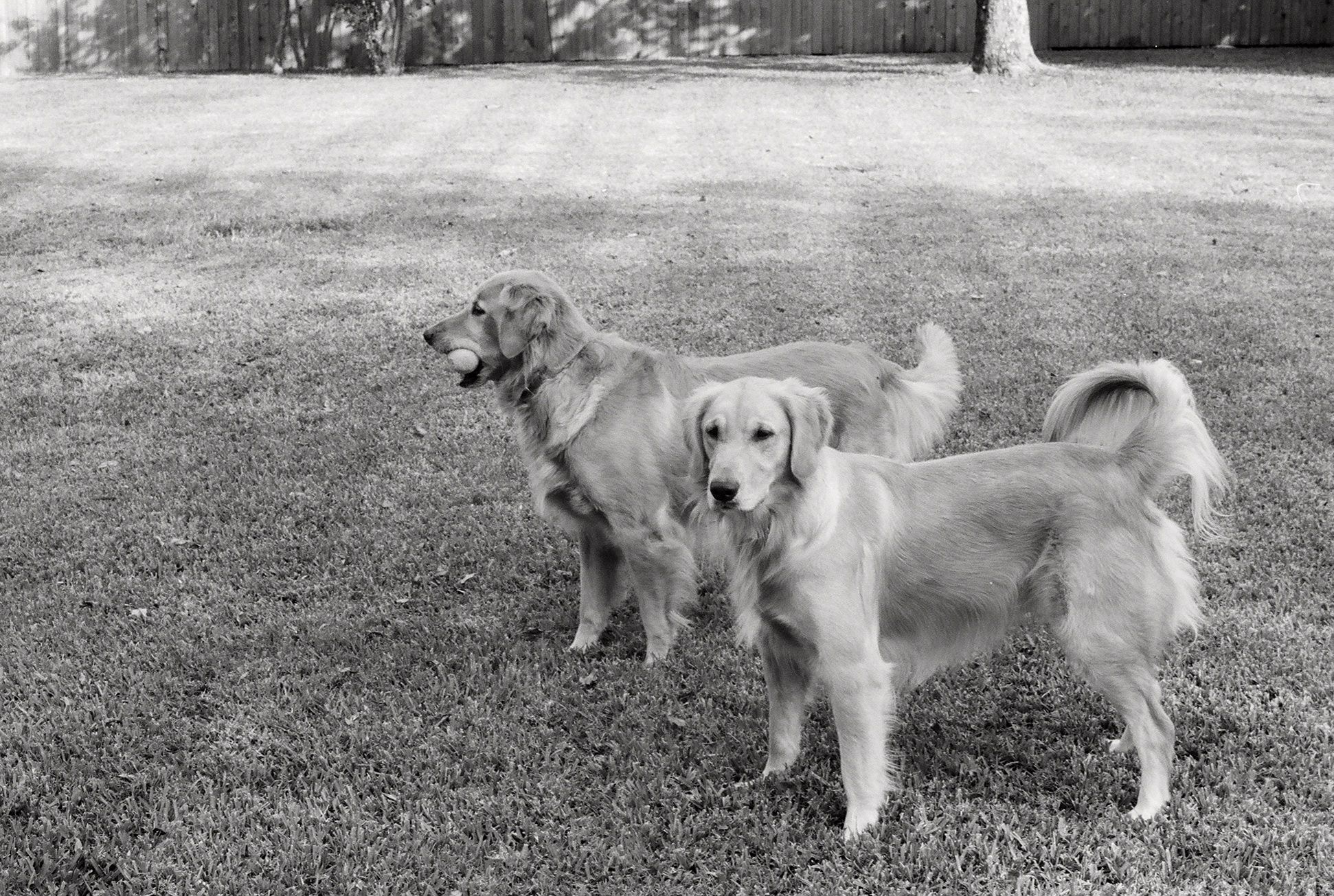 In memory of Tiffany and Holly. We love and miss you! - The Andersons
