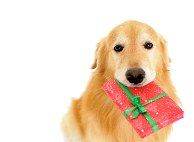 In honor of GRRNT's Secret Santa for the $1,500 matching challenge on 12/21/2014.