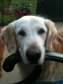 In Memory of Trevor | Dedication by: Sue and Paul Gabrielson