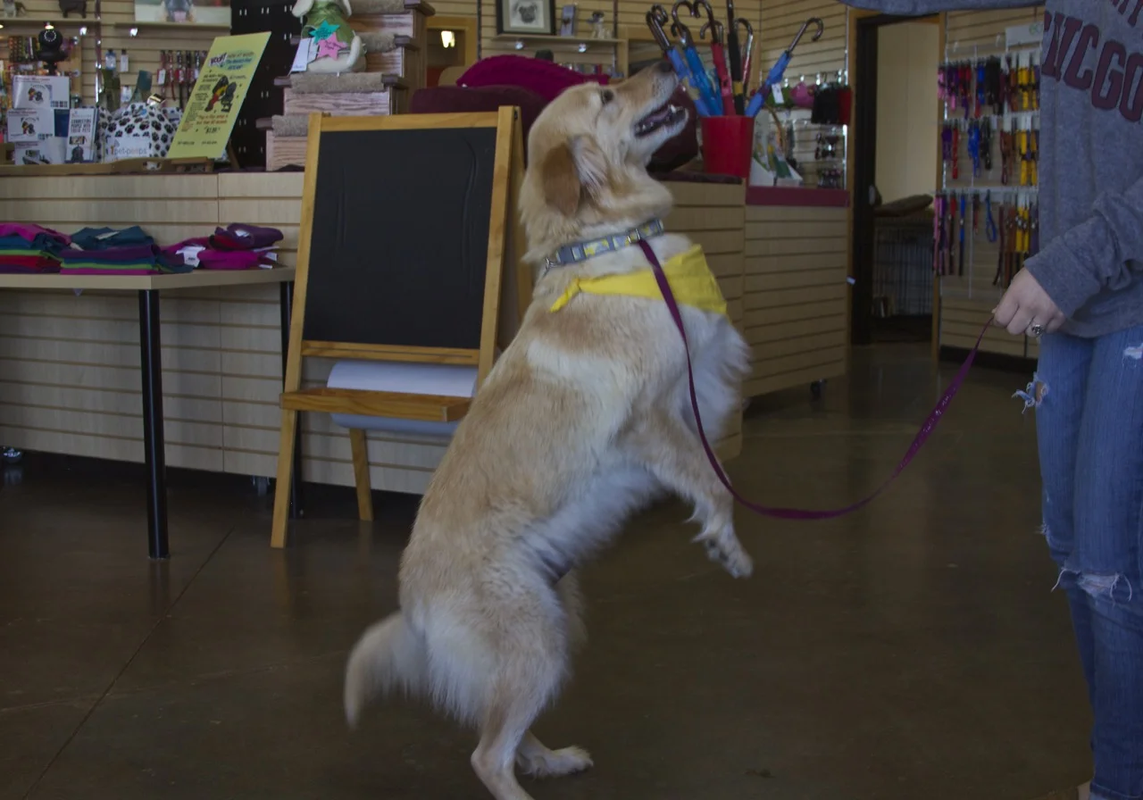 IMG_9805-Woof-1-27-15.jpg