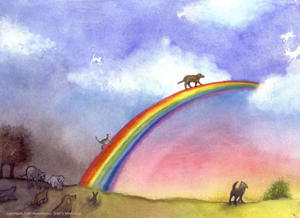 Rainbow Bridge art is used with permission of Tyler Humphreys of Tyler's Workshop.