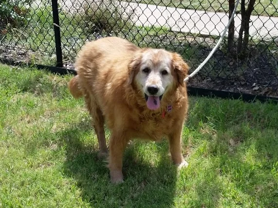 FRIONA-15-044 | F | 10 YRS