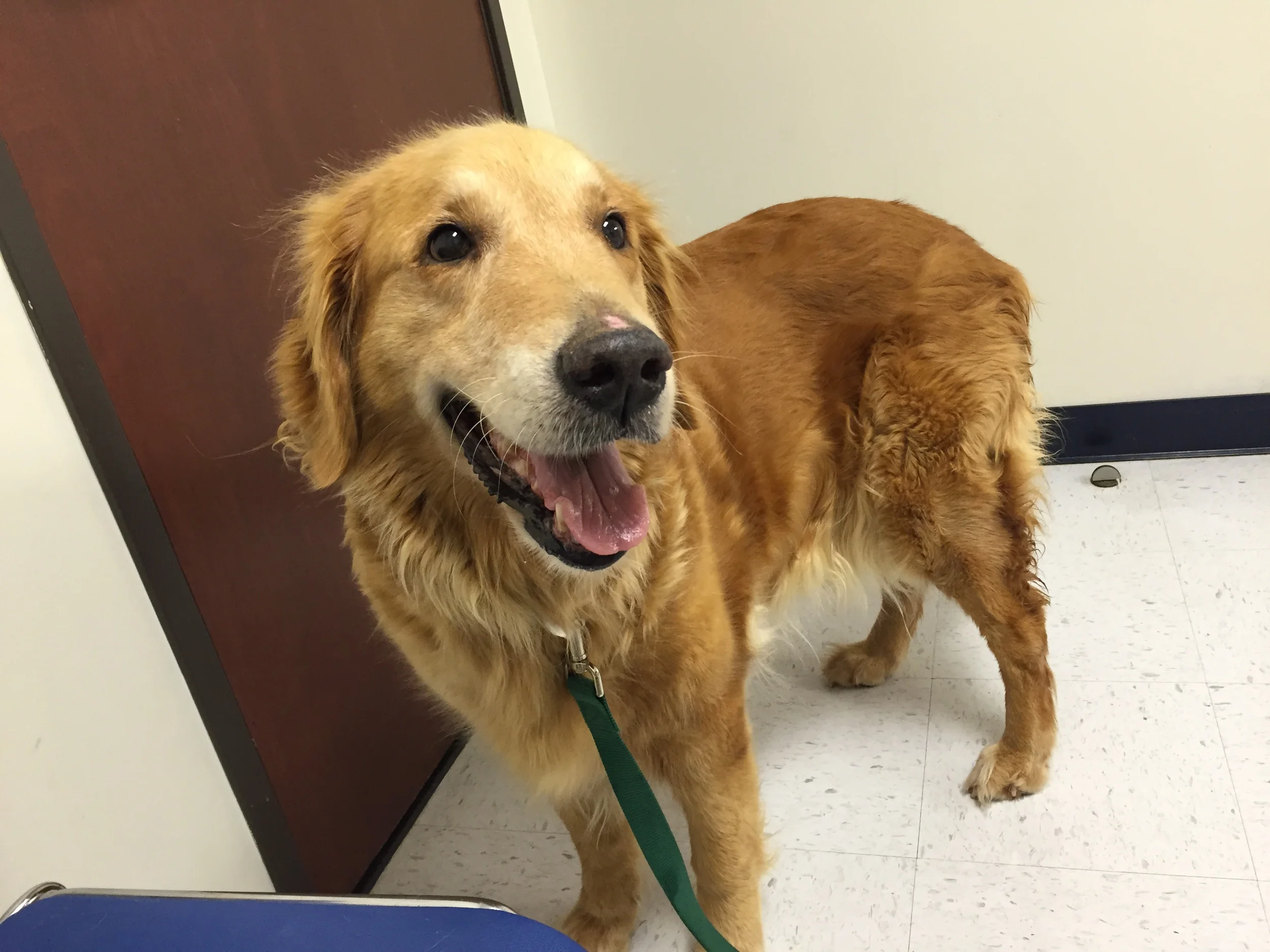 HATTIE-15-160 | F | 11 YRS