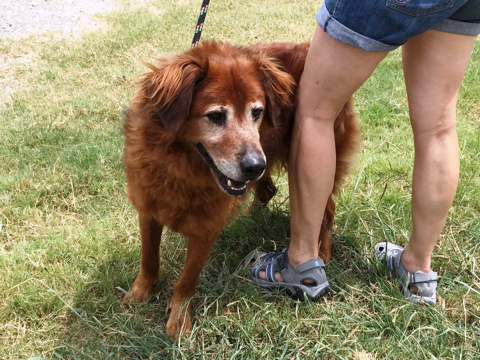 AXE-15-161 | M | 8 YEARS