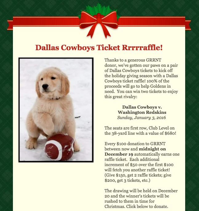 Cowboys raffle art.jpg