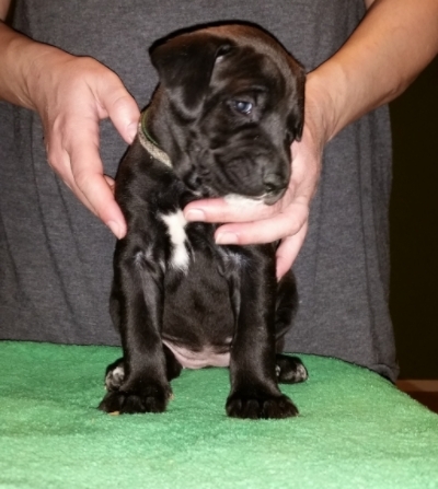 mary 4 and half weeks.jpg