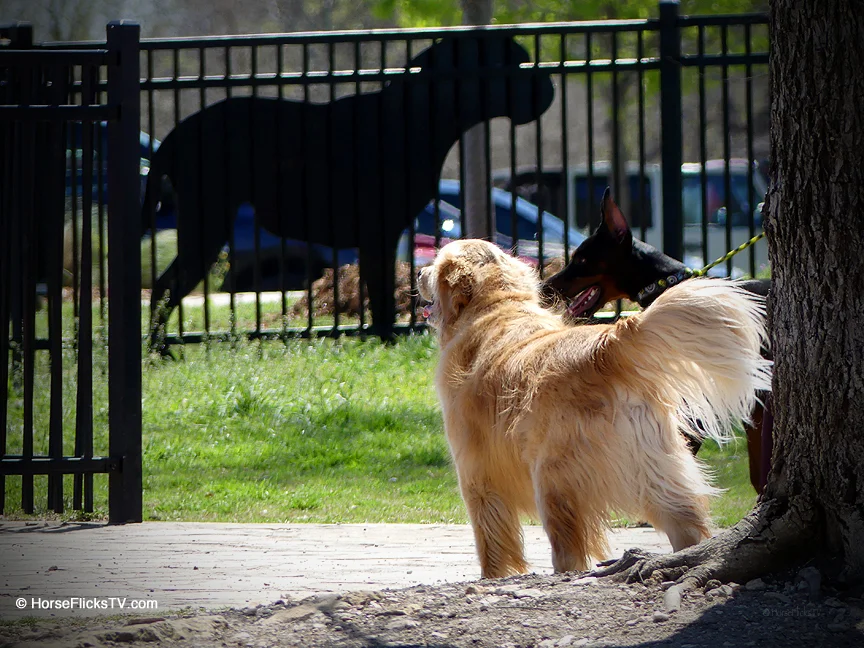North Bark 3_edited-1.jpg