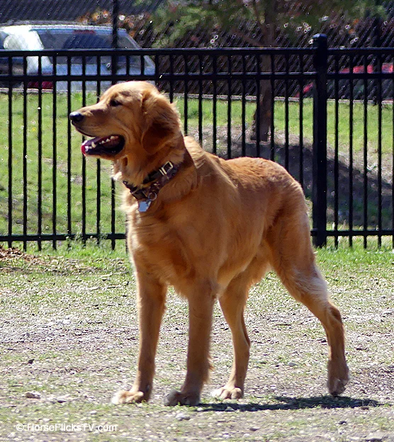 North Bark 10_edited-1.jpg