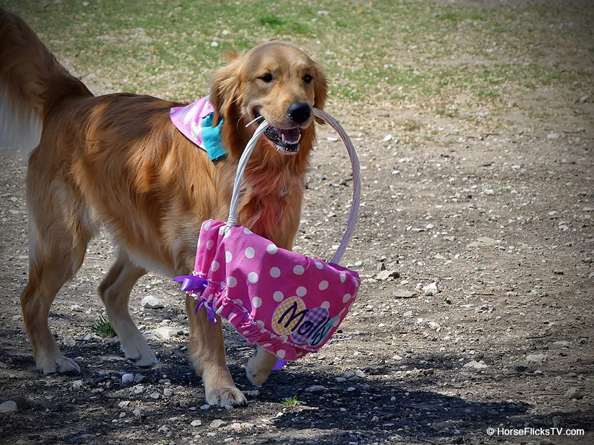 North Bark 14_edited-1.jpg