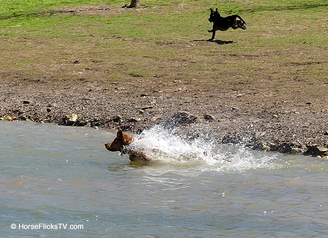 North Bark 17_edited-1.jpg