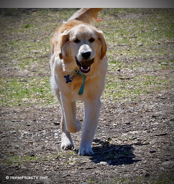 North Bark 24_edited-1.jpg