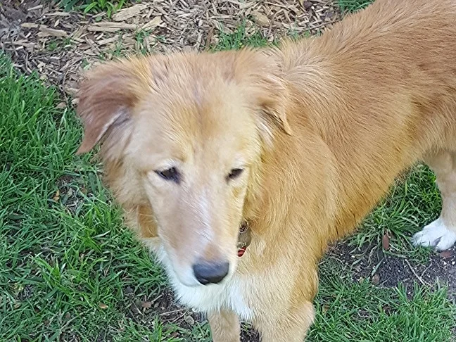 LETY- 16-119 | F | 10 YRS