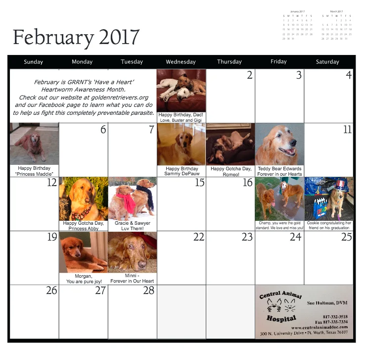 feb.jpg