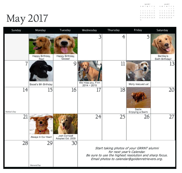 may.jpg