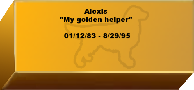 Golden Wall Brick empty 6.png