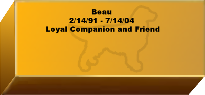 Golden Wall Brick empty 6.png