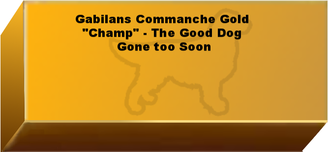 Golden Wall Brick empty 6.png