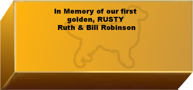 Golden Wall Brick empty 6.png