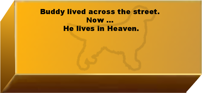 Golden Wall Brick empty 6.png