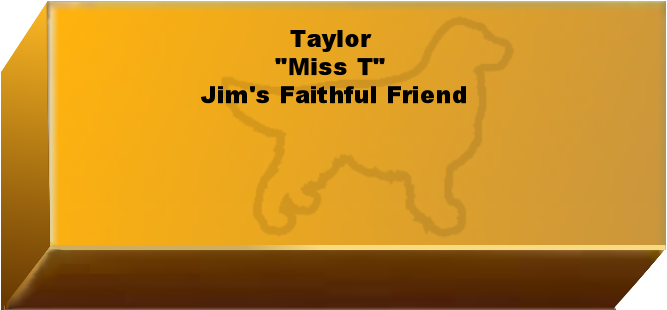 Golden Wall Brick empty 6.png