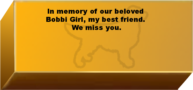Golden Wall Brick empty 6.png