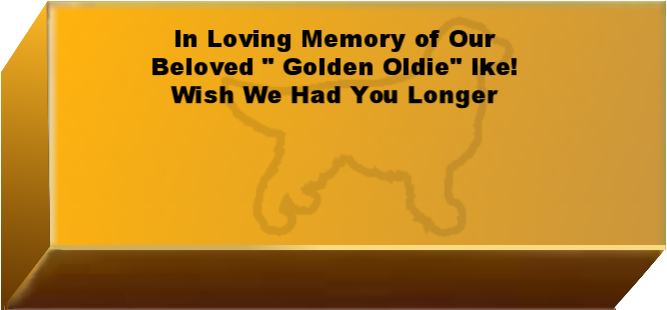 Golden Wall Brick empty 6.png