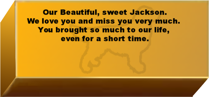 Golden Wall Brick empty 6.png