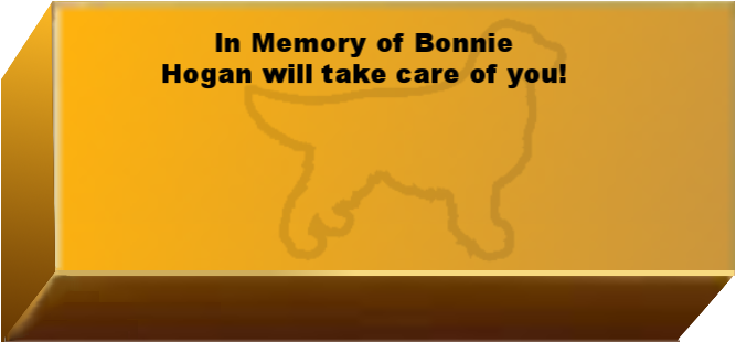 Golden Wall Brick empty 6.png
