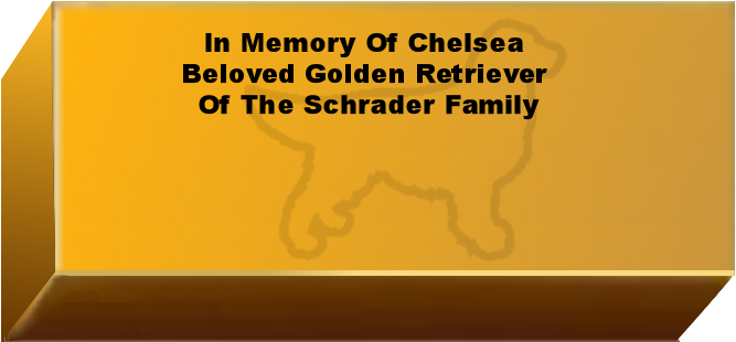 Golden Wall Brick empty 6.png