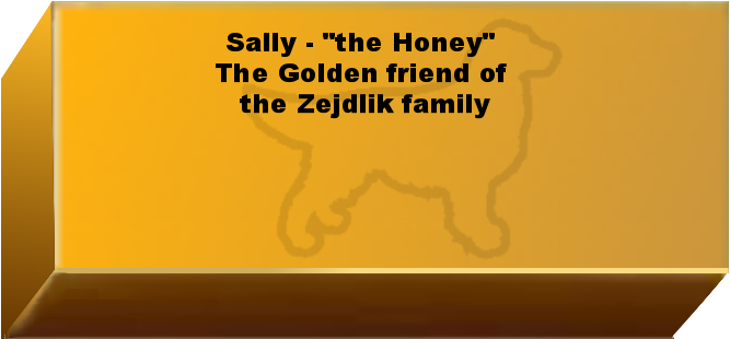 Golden Wall Brick empty 6.png