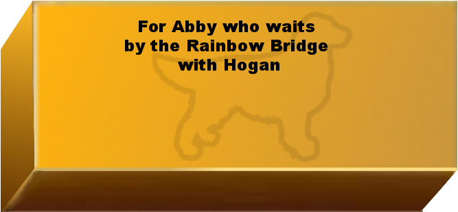 Golden Wall Brick empty 6.png