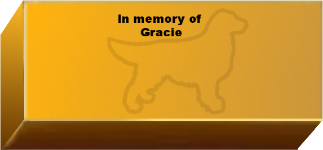 Golden Wall Brick empty 6.png