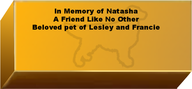 Golden Wall Brick empty 6.png