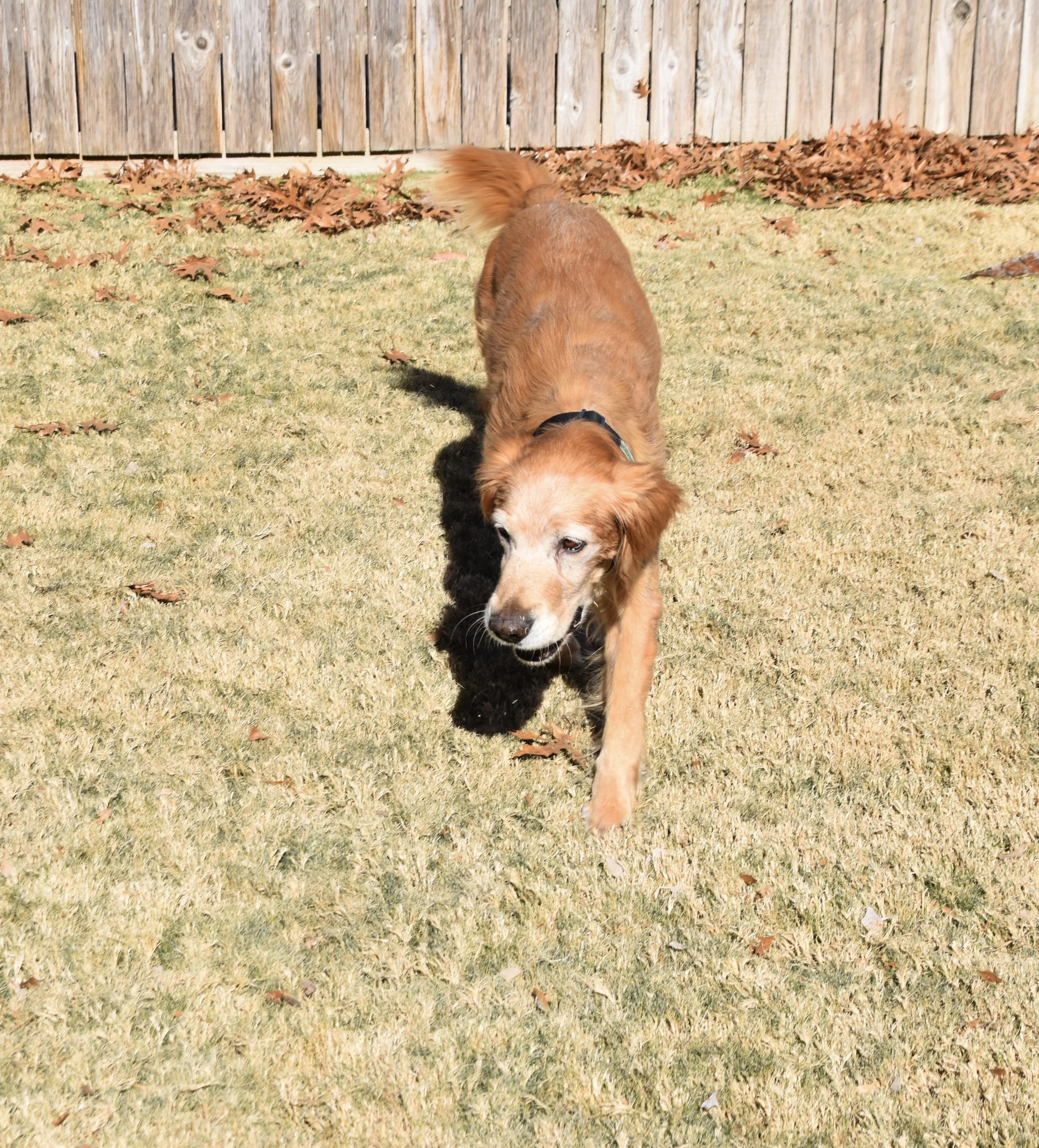 DSC_0007.jpg