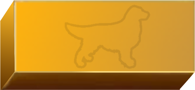 Golden Wall Brick empty 6.png