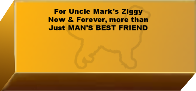 Golden Wall Brick empty 6.png