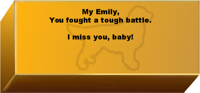 Golden Wall Brick empty 6.png