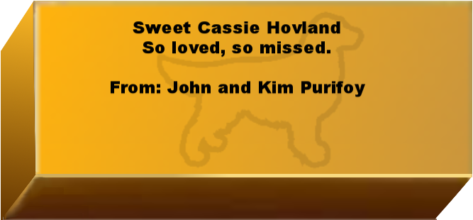 Golden Wall Brick empty 6.png
