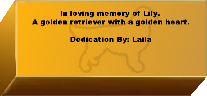 Golden Wall Brick empty 6.png
