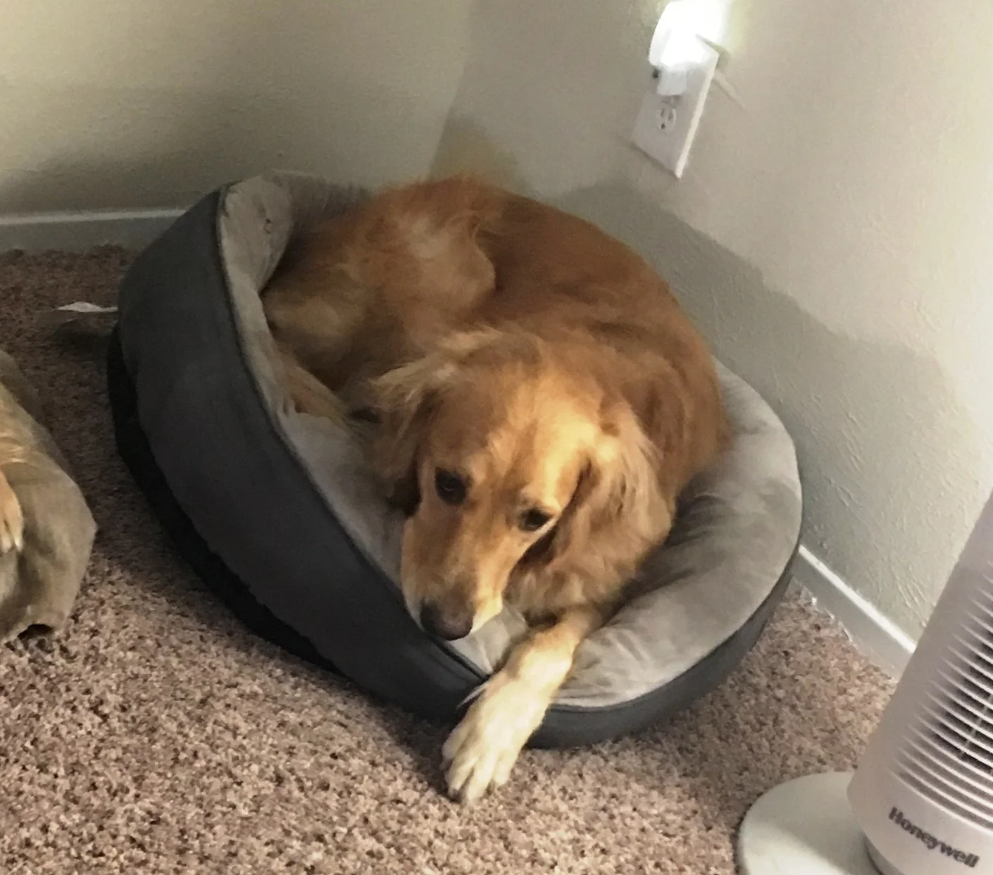image1.jpeg