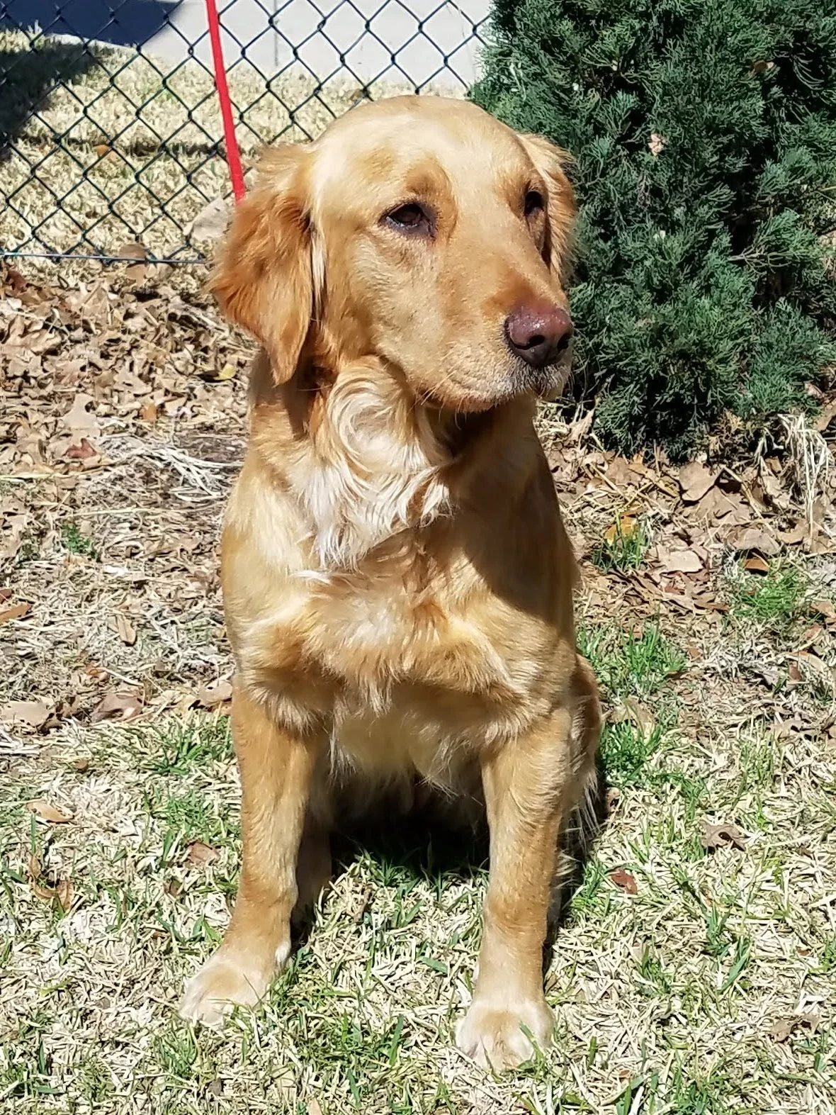 20180307_131855.jpg