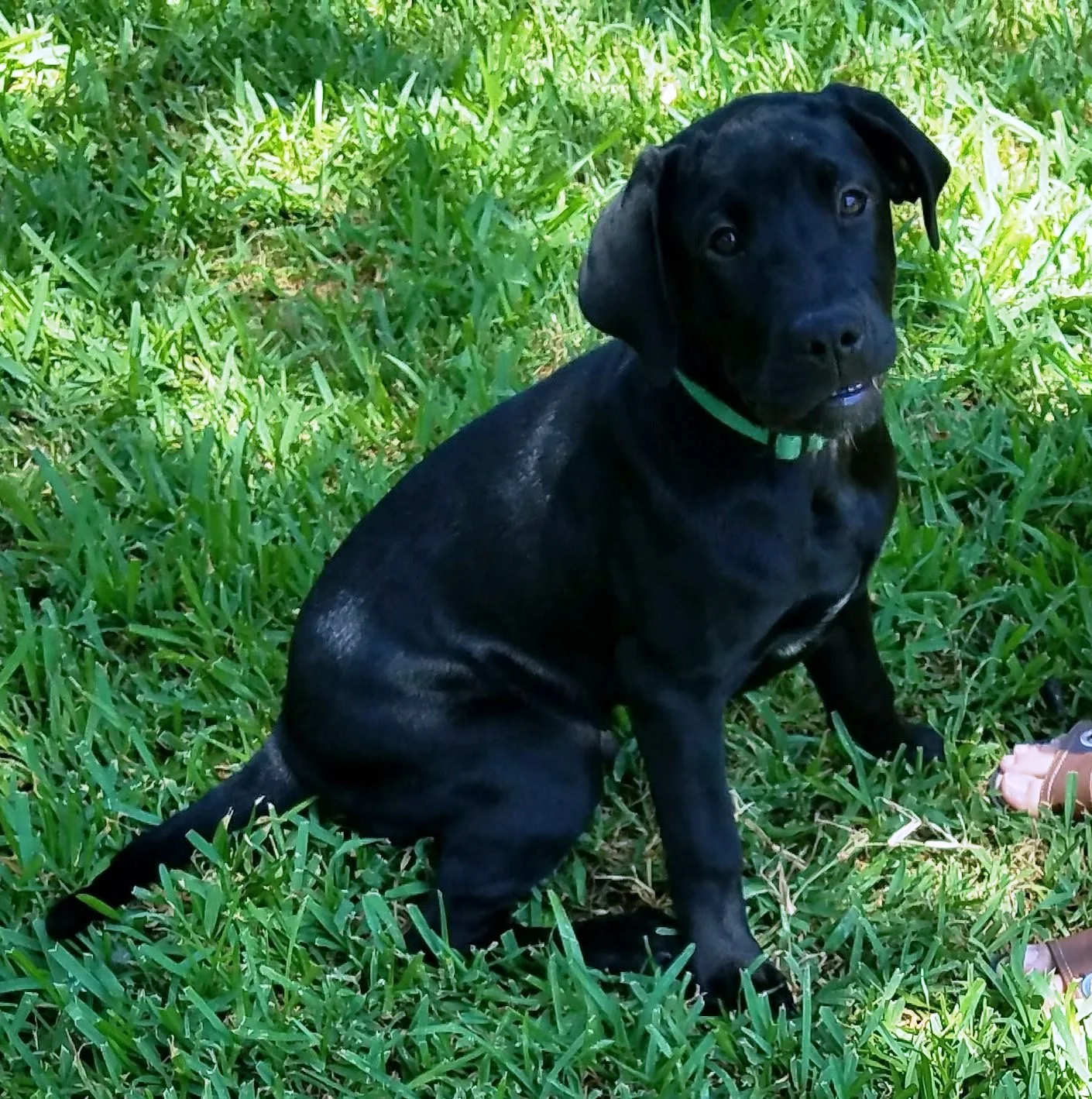 20180606_114515.jpg