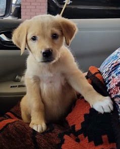 tilly 2.jpg