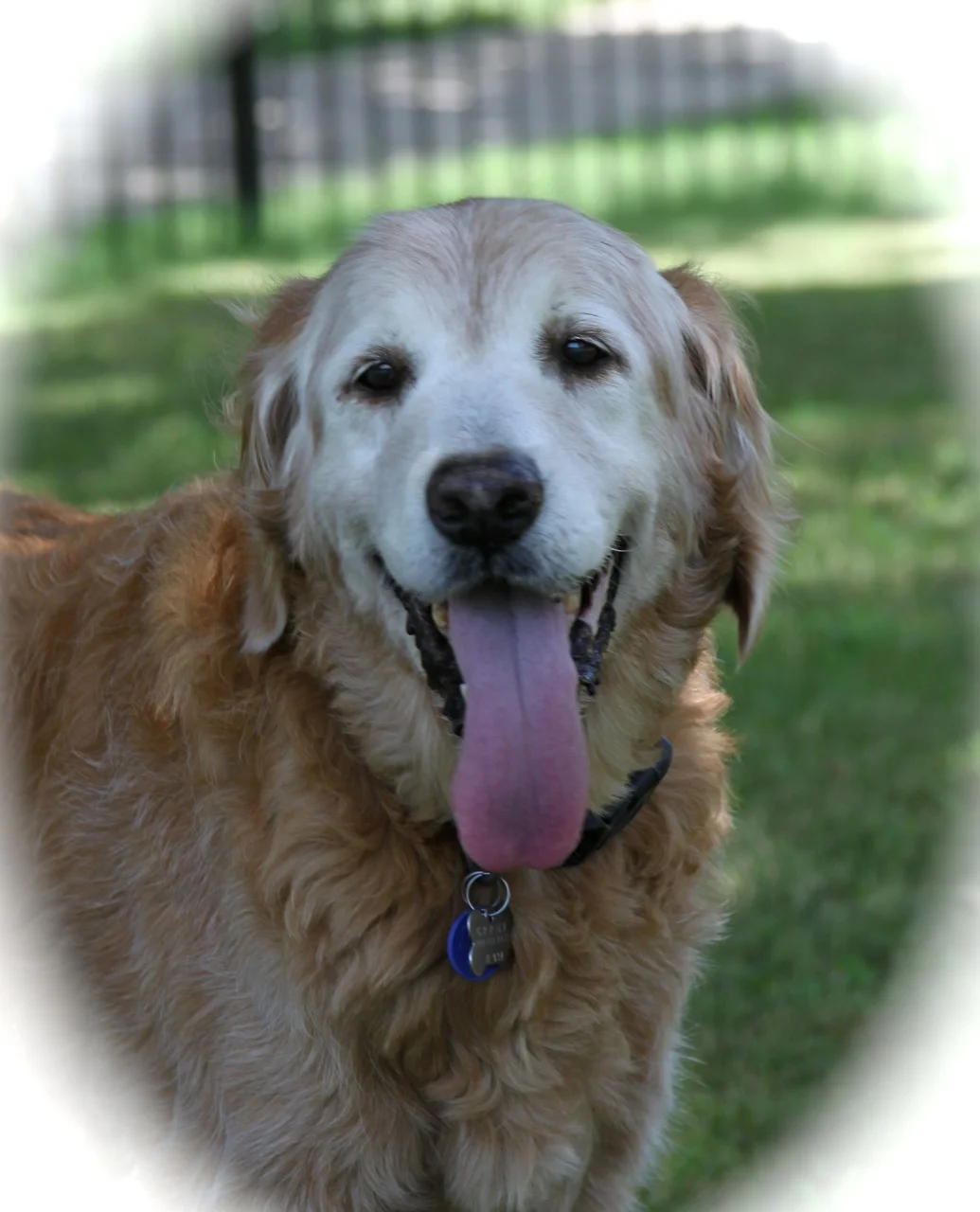 Annie-12-034