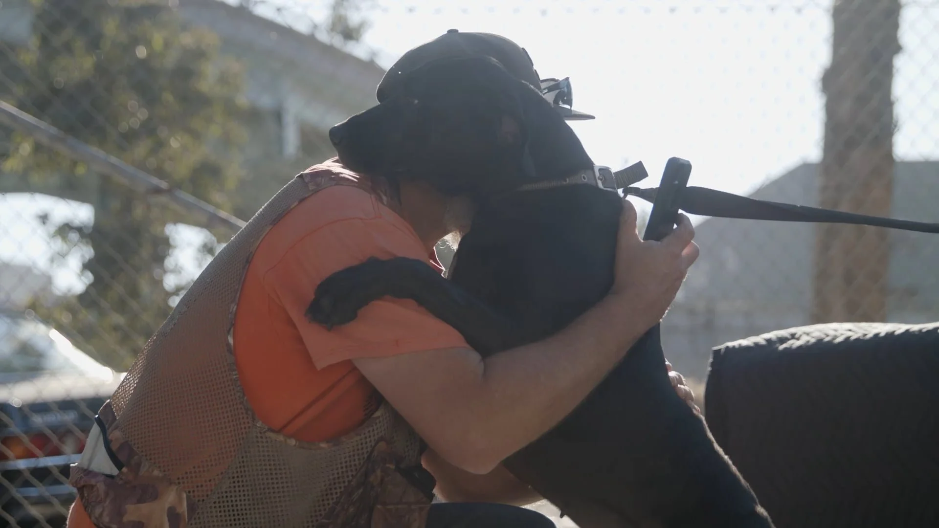 The Dog Guy Documentary