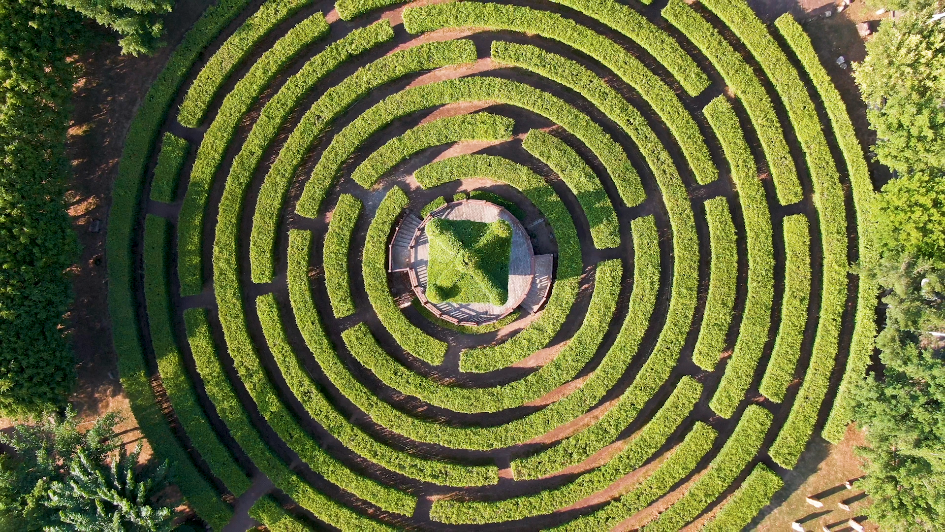 Tranquil Transformations (Coming Soon)