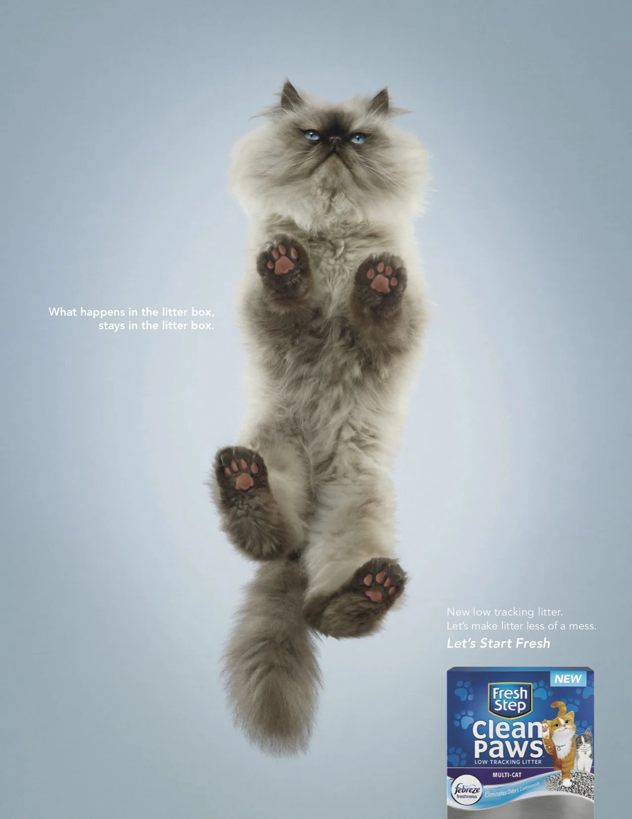 Bottom up view of a cat to see its paws. Headline reads, "What happens in the litter box, stays in the litter box." Body copy reads, "New low tracking litter. Let's make litter less of a mess. Let's start fresh."