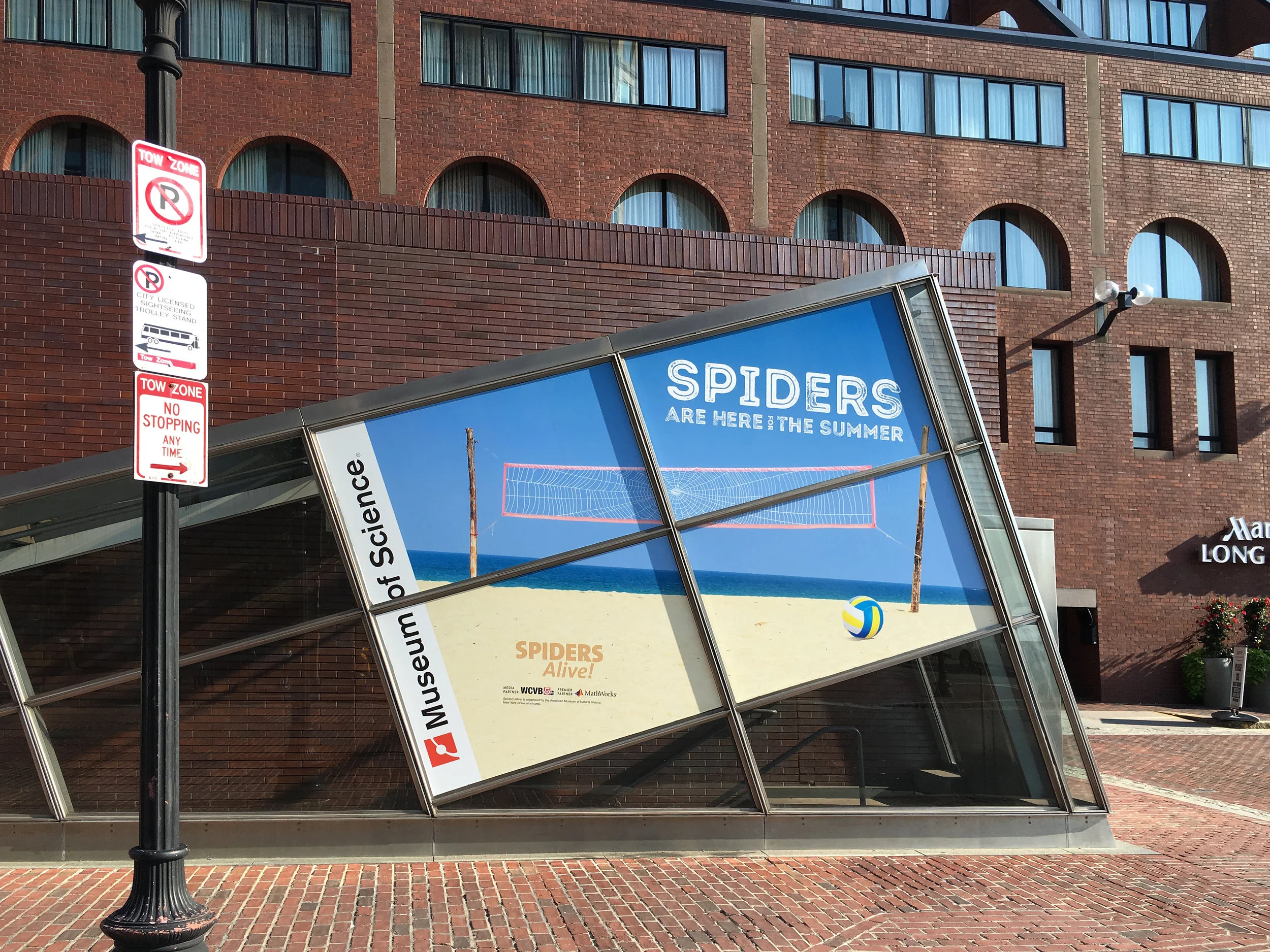MuseumScience_2016_Spiders_Aquarium_02.jpg