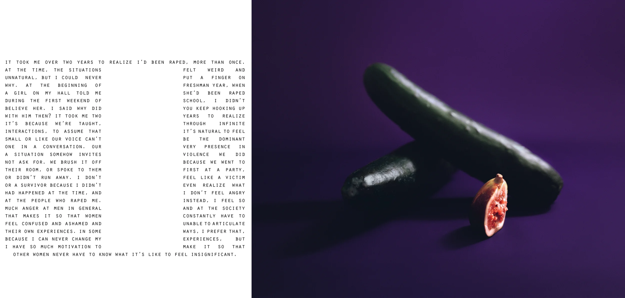she-bigger-text4.jpg
